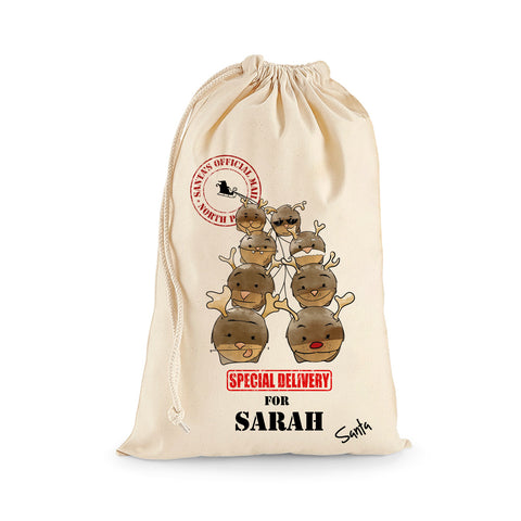 Personalized Christmas Gift Bag